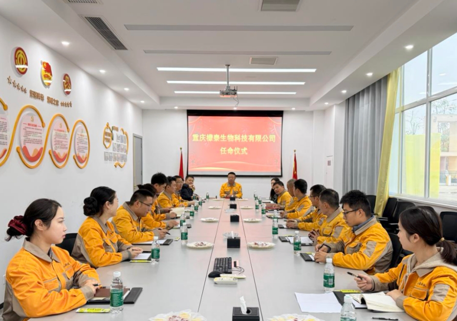 1762991194715912.png mmexport3b3e000b0a9f3bba3d58444e9cf88ea2_1762990519624_edit_652592121179587.png