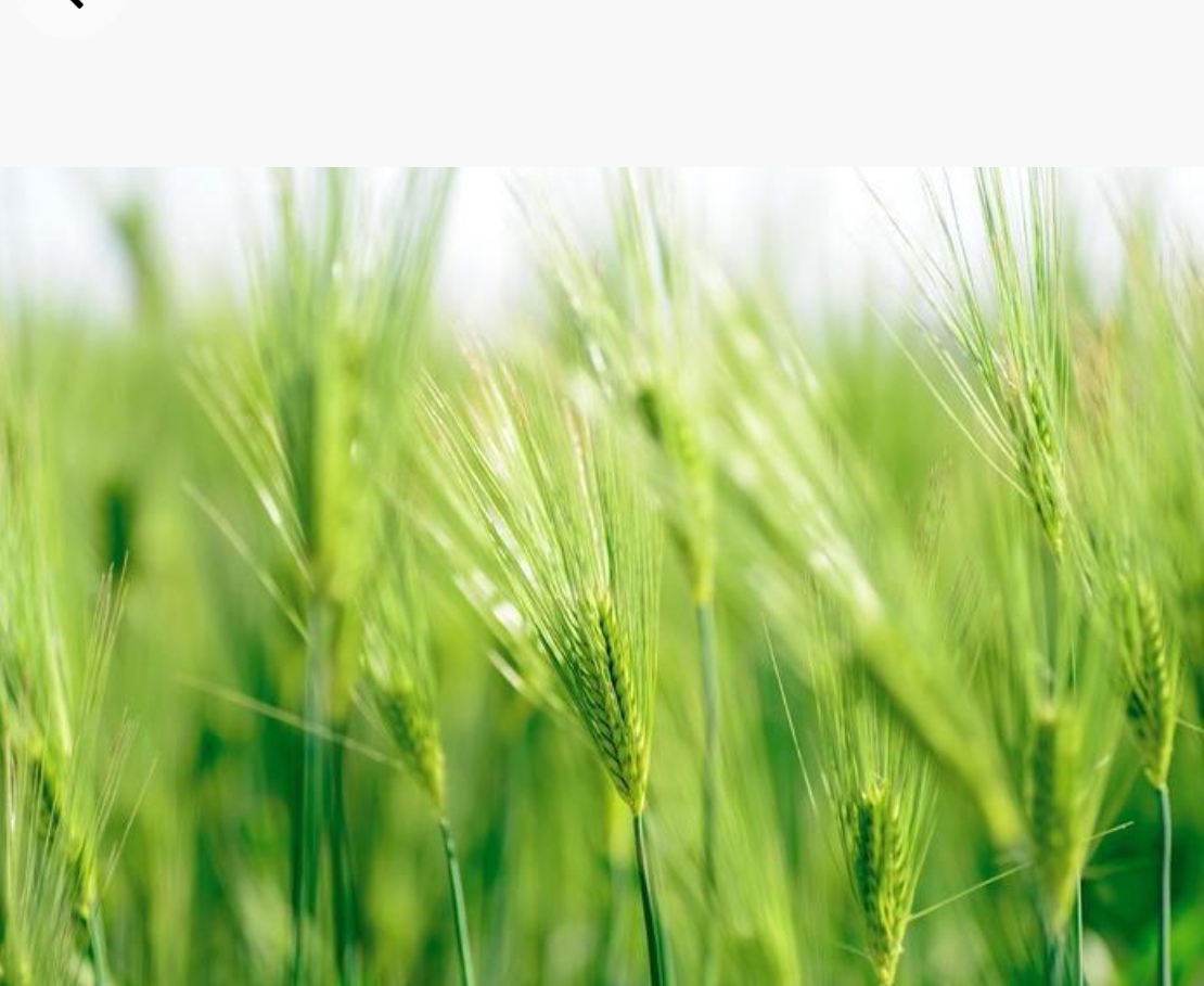 1769324087265967.jpg Screenshot_20260125_145419_com.baidu.searchbox_edit_13053244784987.jpg